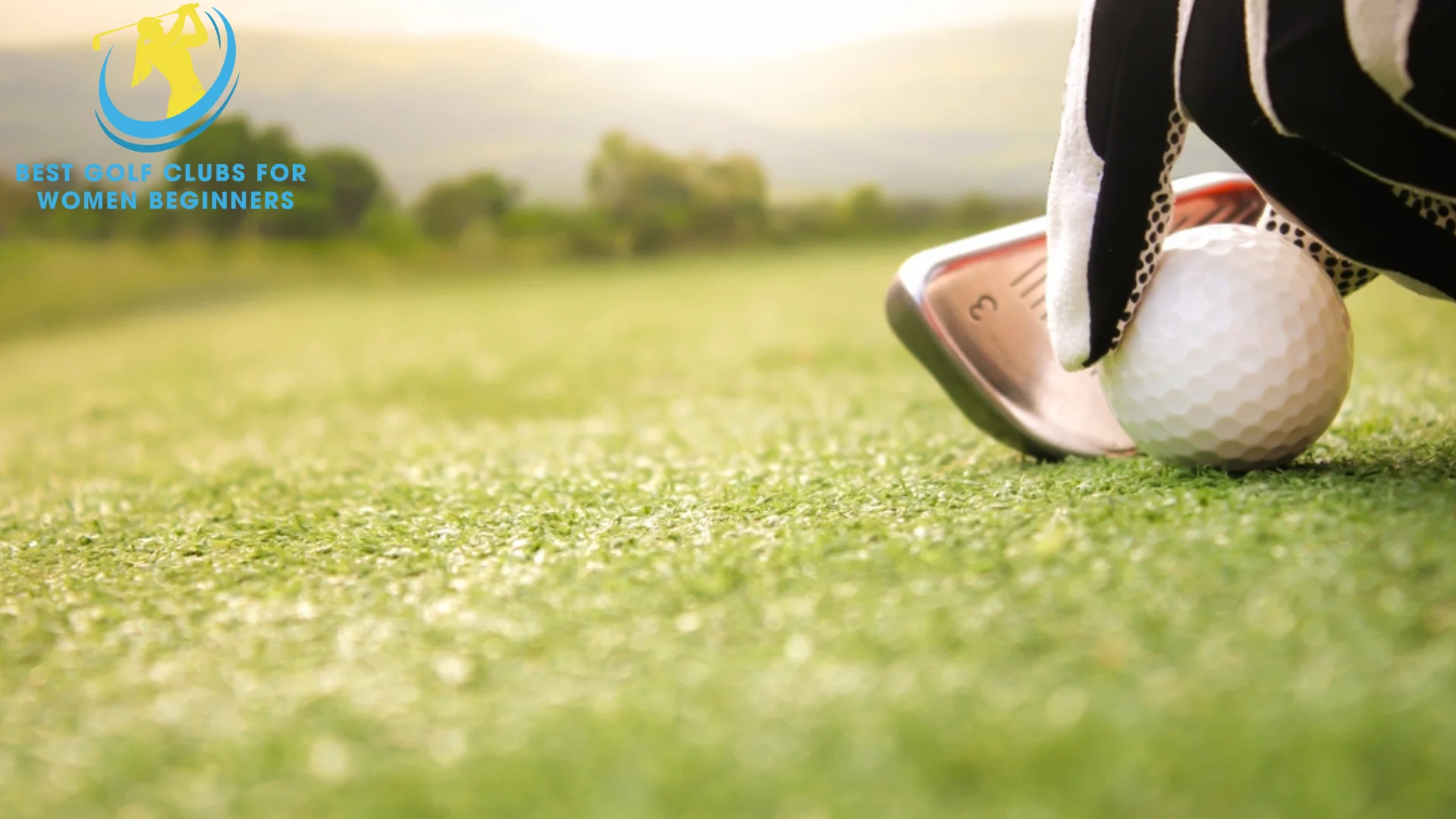 image of golf gloves